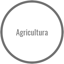 Agricultura