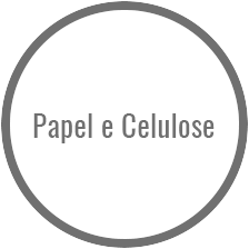 Papel e Celulose