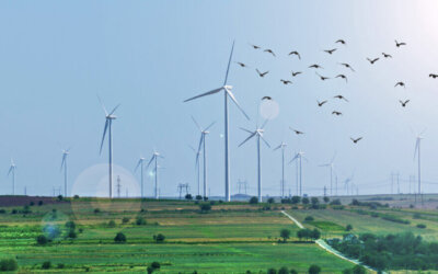 Casa dos Ventos e Unigel celebram acordo de R$ 1 bi para fornecimento de energia renovável